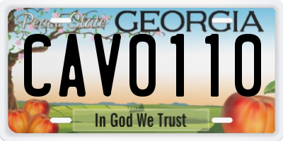 GA license plate CAV0110