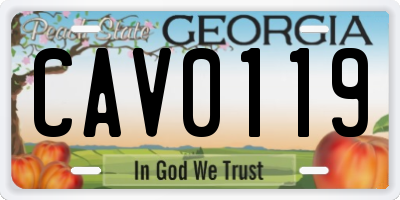 GA license plate CAV0119