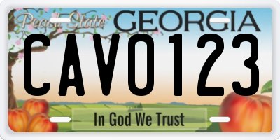 GA license plate CAV0123
