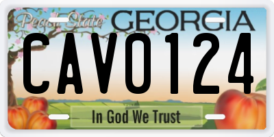 GA license plate CAV0124