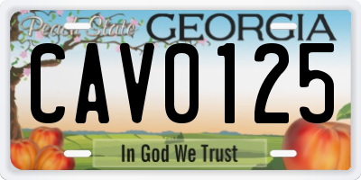 GA license plate CAV0125