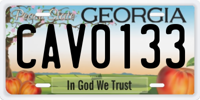 GA license plate CAV0133