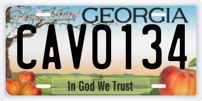 GA license plate CAV0134
