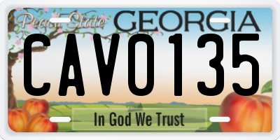 GA license plate CAV0135