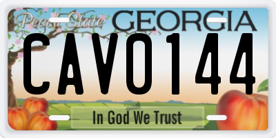 GA license plate CAV0144