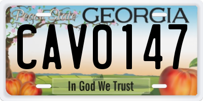 GA license plate CAV0147