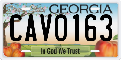 GA license plate CAV0163