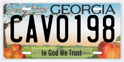 GA license plate CAV0198