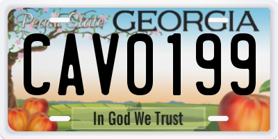 GA license plate CAV0199