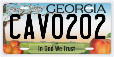 GA license plate CAV0202
