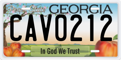 GA license plate CAV0212