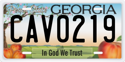 GA license plate CAV0219