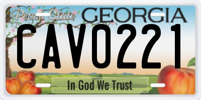 GA license plate CAV0221