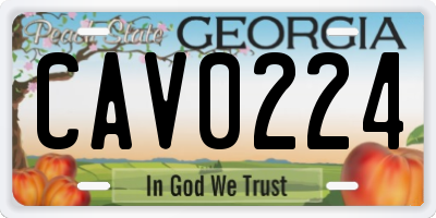 GA license plate CAV0224
