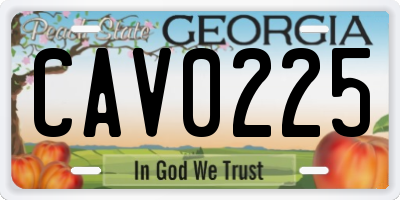 GA license plate CAV0225