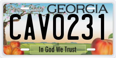 GA license plate CAV0231