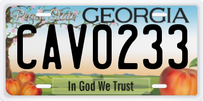 GA license plate CAV0233