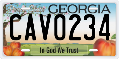 GA license plate CAV0234