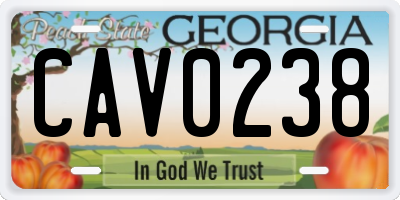 GA license plate CAV0238