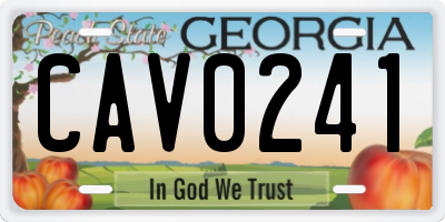 GA license plate CAV0241