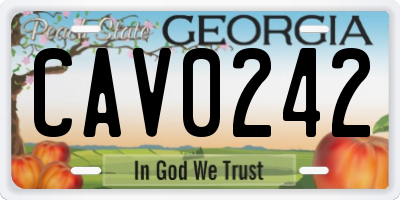GA license plate CAV0242