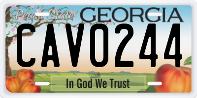 GA license plate CAV0244