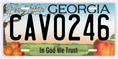 GA license plate CAV0246