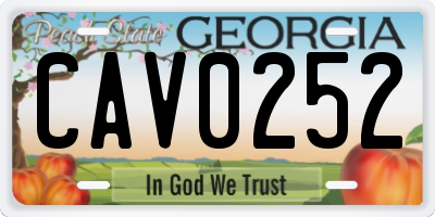 GA license plate CAV0252