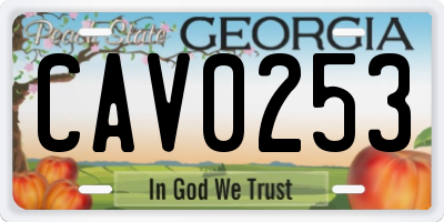 GA license plate CAV0253