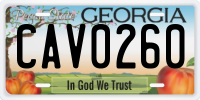 GA license plate CAV0260