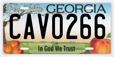 GA license plate CAV0266