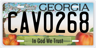 GA license plate CAV0268