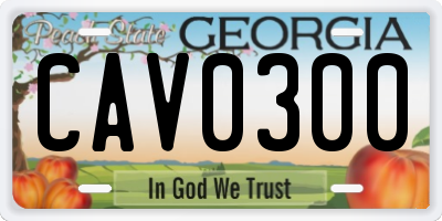GA license plate CAV0300