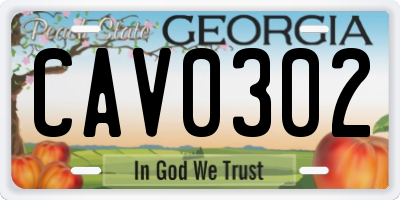 GA license plate CAV0302