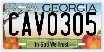 GA license plate CAV0305