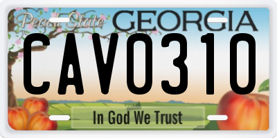 GA license plate CAV0310