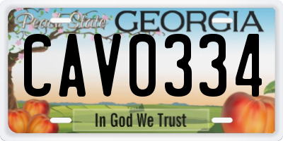 GA license plate CAV0334