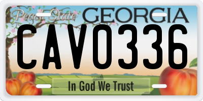 GA license plate CAV0336