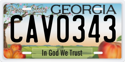 GA license plate CAV0343