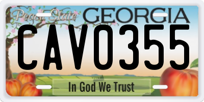 GA license plate CAV0355