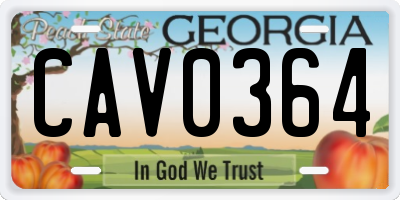 GA license plate CAV0364