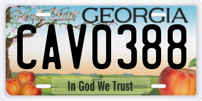 GA license plate CAV0388