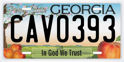 GA license plate CAV0393