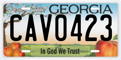 GA license plate CAV0423