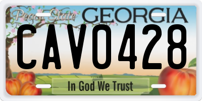 GA license plate CAV0428