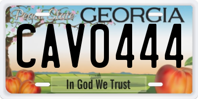 GA license plate CAV0444