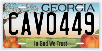 GA license plate CAV0449