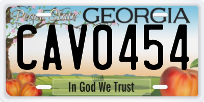 GA license plate CAV0454