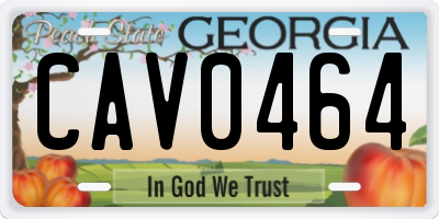 GA license plate CAV0464