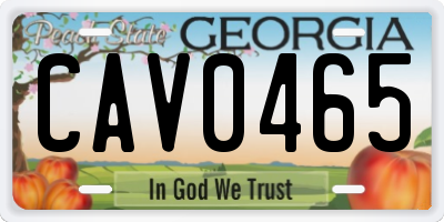 GA license plate CAV0465